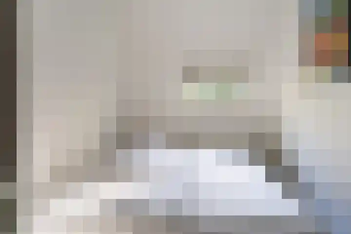 't Hertenspoor 135 Diever thumbnail 18