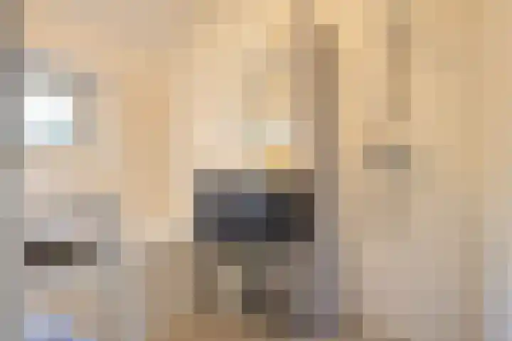 't Hertenspoor 135 Diever thumbnail 20