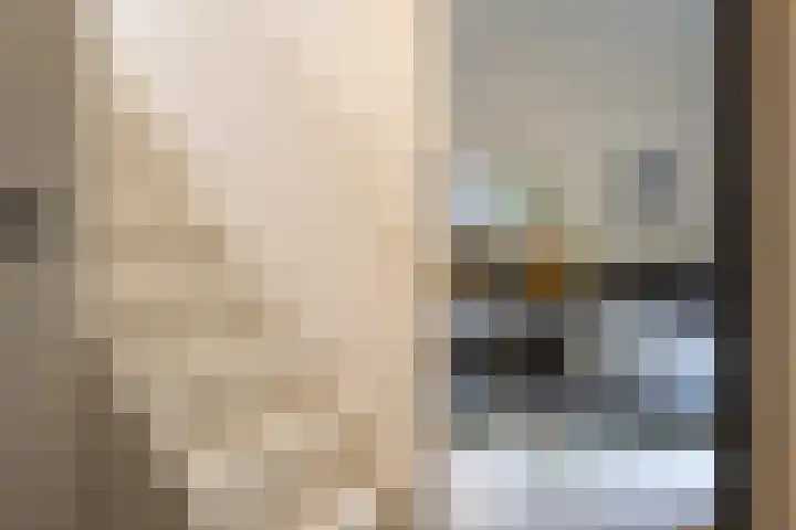 't Hertenspoor 135 Diever thumbnail 21