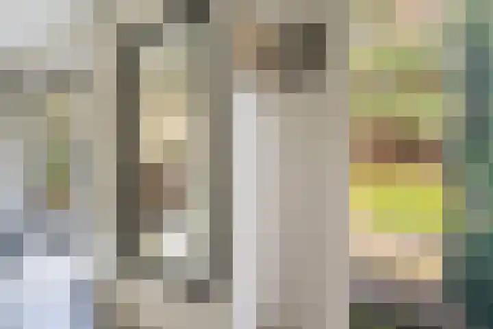 't Hertenspoor 135 Diever thumbnail 22