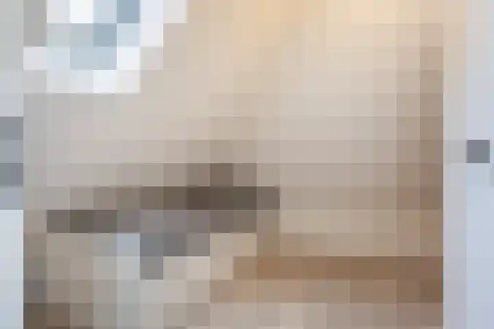 't Hertenspoor 135 Diever thumbnail 23
