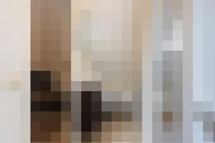 't Hertenspoor 135 Diever thumbnail 24