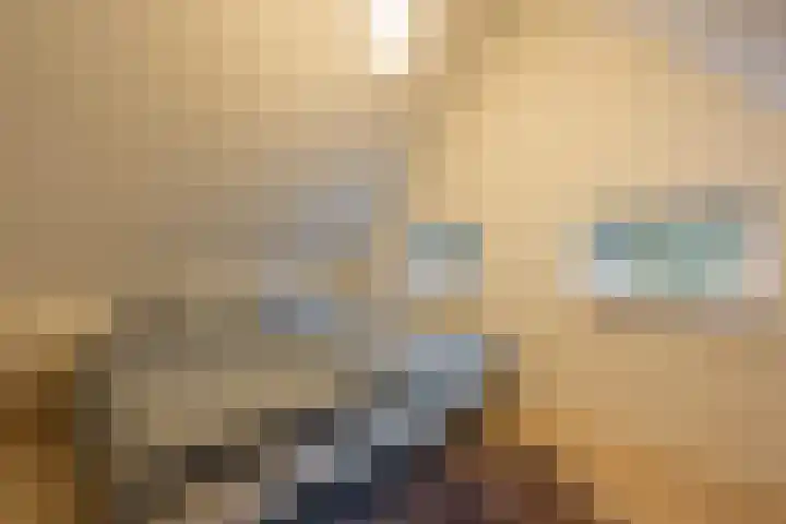 't Hertenspoor 135 Diever thumbnail 25