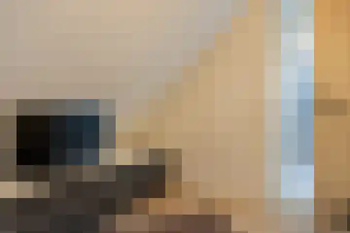 't Hertenspoor 135 Diever thumbnail 26