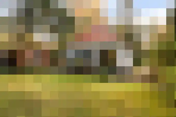 't Hertenspoor 135 Diever thumbnail 28