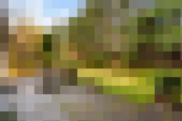 't Hertenspoor 135 Diever thumbnail 29