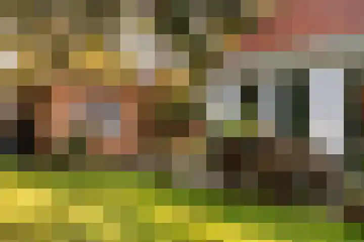 't Hertenspoor 135 Diever thumbnail 30