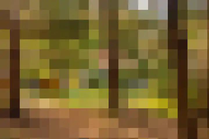 't Hertenspoor 135 Diever thumbnail 31