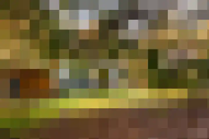 't Hertenspoor 135 Diever thumbnail 32