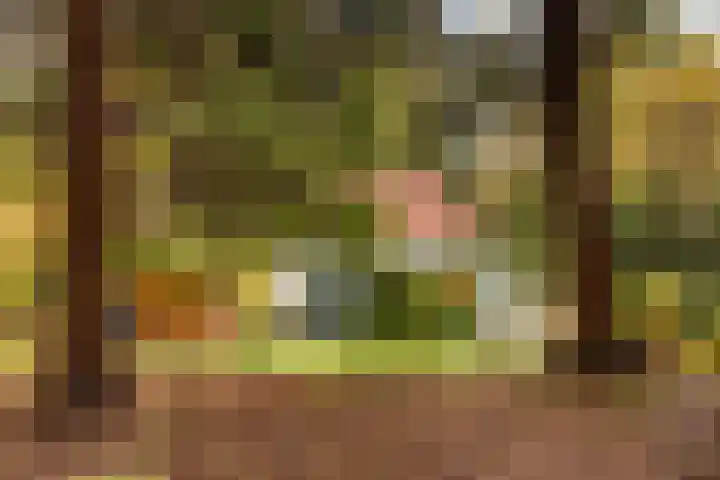 't Hertenspoor 135 Diever thumbnail 33