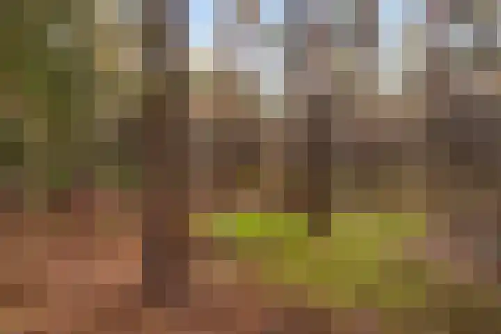 't Hertenspoor 135 Diever thumbnail 35