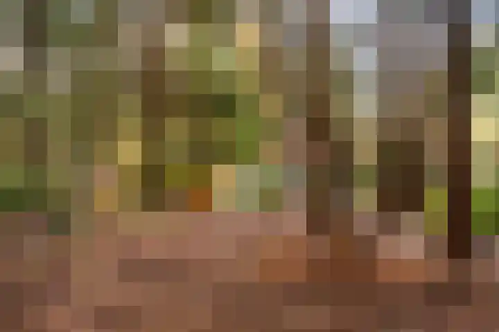 't Hertenspoor 135 Diever thumbnail 36