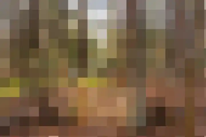 't Hertenspoor 135 Diever thumbnail 37