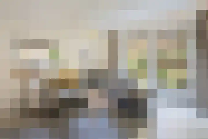 't Hertenspoor 135 Diever thumbnail 4