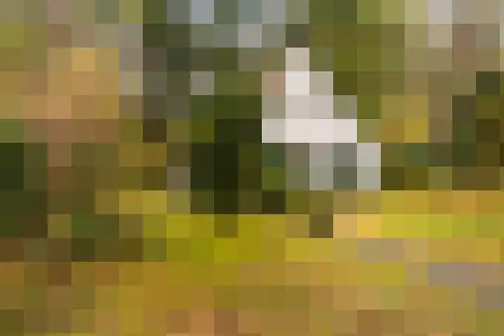 't Hertenspoor 135 Diever thumbnail 40