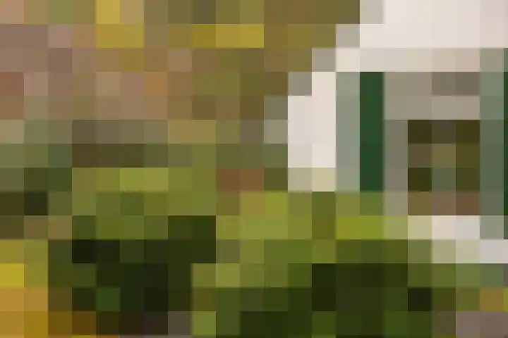 't Hertenspoor 135 Diever thumbnail 42