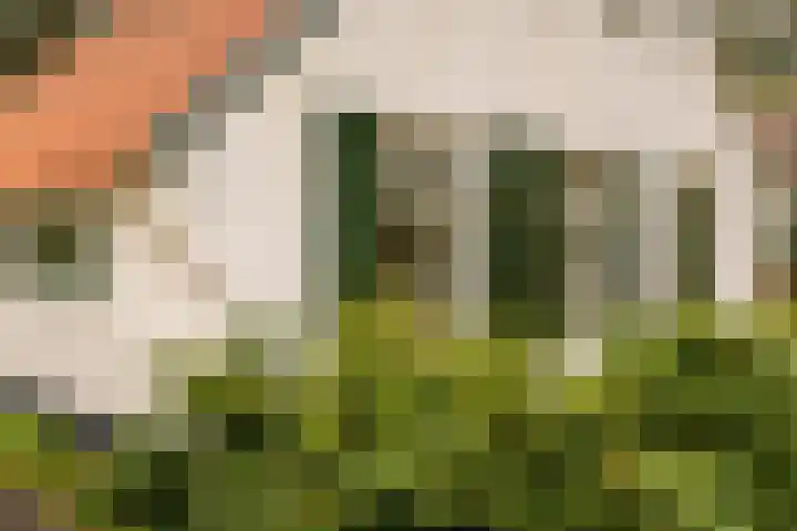 't Hertenspoor 135 Diever thumbnail 43