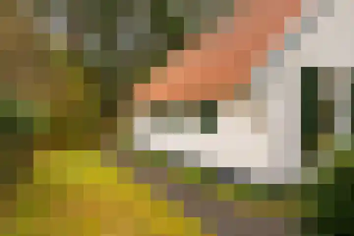 't Hertenspoor 135 Diever thumbnail 44