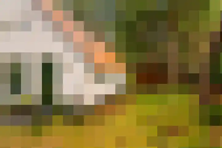 't Hertenspoor 135 Diever thumbnail 45