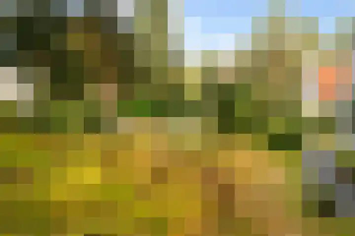 't Hertenspoor 135 Diever thumbnail 46