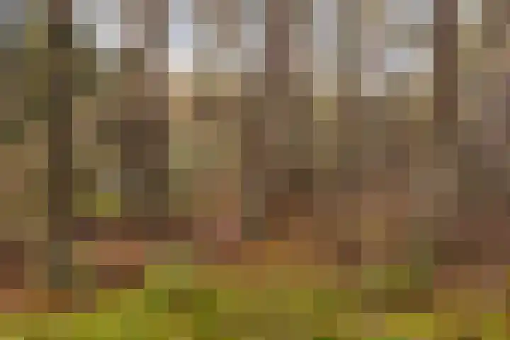 't Hertenspoor 135 Diever thumbnail 47