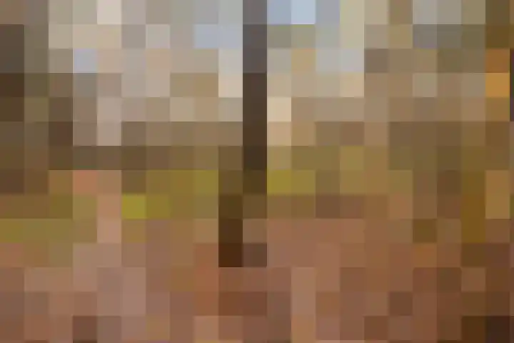 't Hertenspoor 135 Diever thumbnail 48
