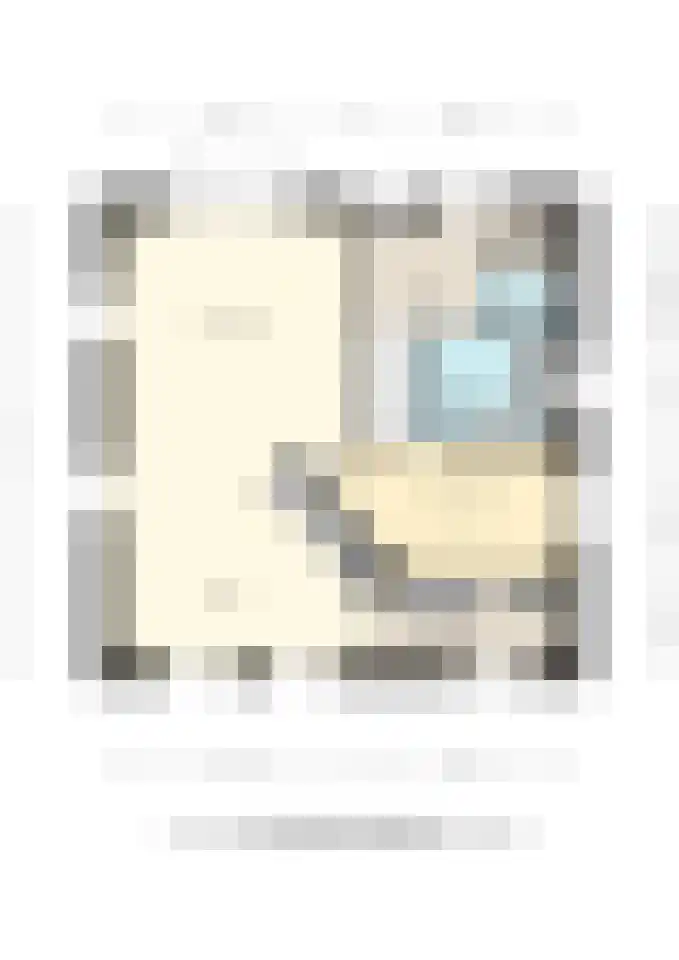 't Hertenspoor 135 Diever thumbnail 49