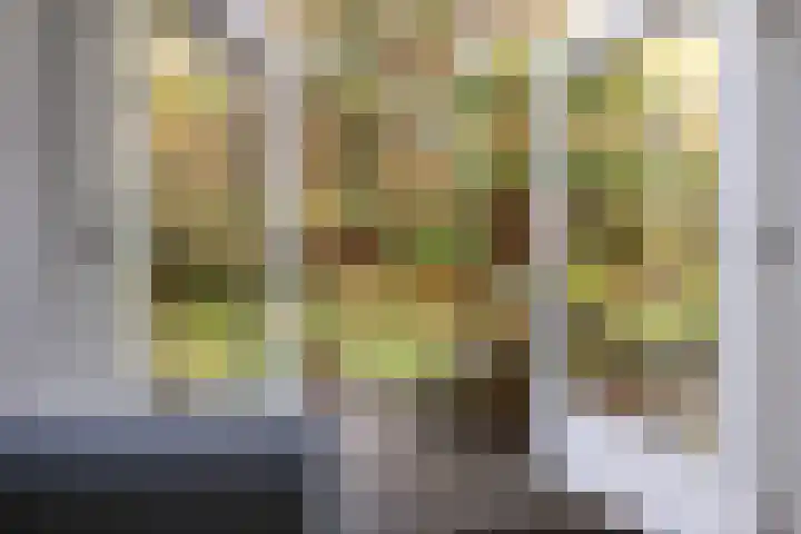 't Hertenspoor 135 Diever thumbnail 5