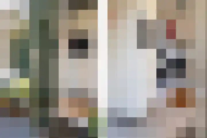 't Hertenspoor 135 Diever thumbnail 6