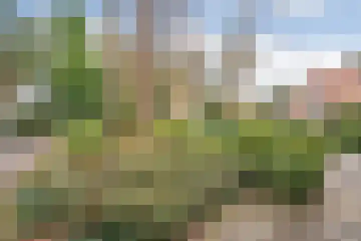 't Hertenspoor 136 Diever thumbnail 10