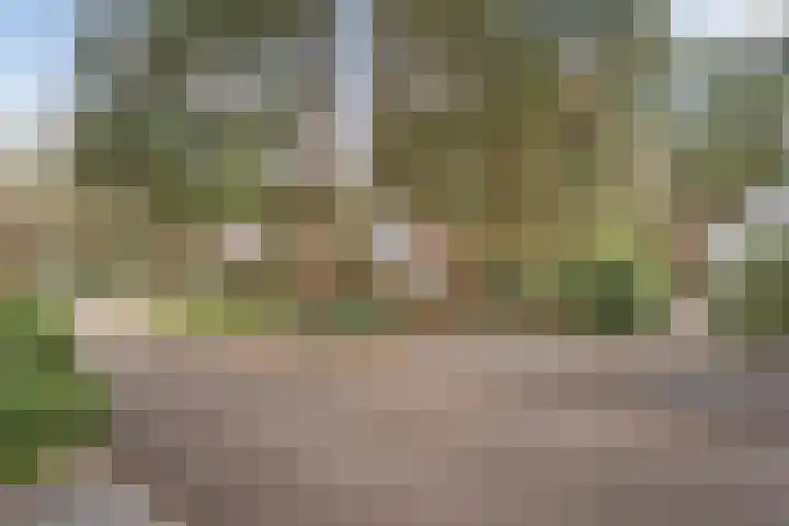 't Hertenspoor 136 Diever thumbnail 11