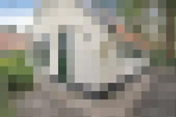 't Hertenspoor 136 Diever thumbnail 12