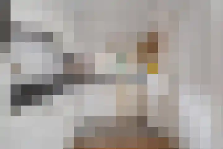 't Hertenspoor 136 Diever thumbnail 16