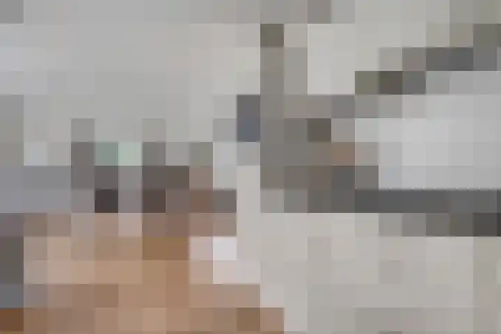't Hertenspoor 136 Diever thumbnail 17