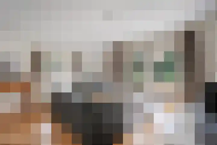 't Hertenspoor 136 Diever thumbnail 20