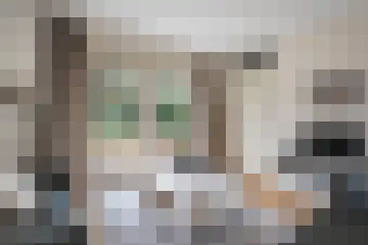 't Hertenspoor 136 Diever thumbnail 21
