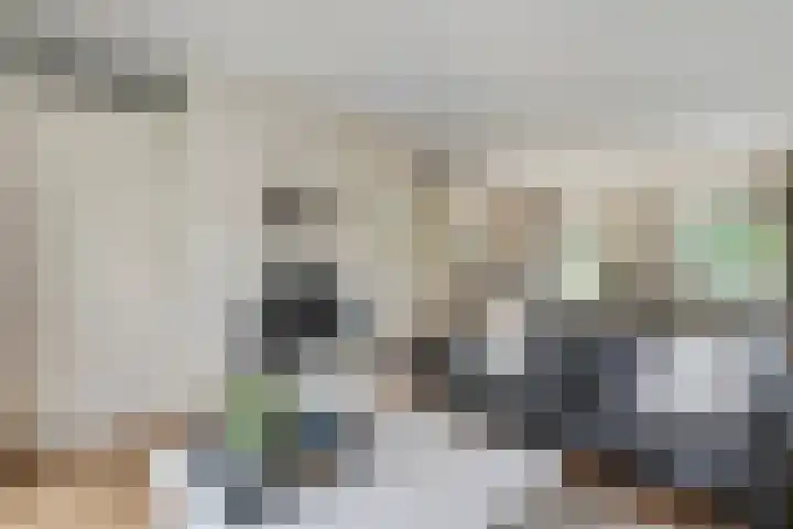 't Hertenspoor 136 Diever thumbnail 22
