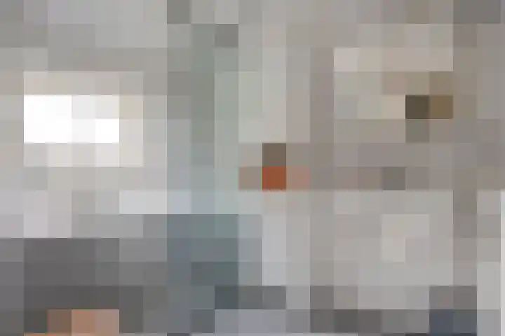 't Hertenspoor 136 Diever thumbnail 24