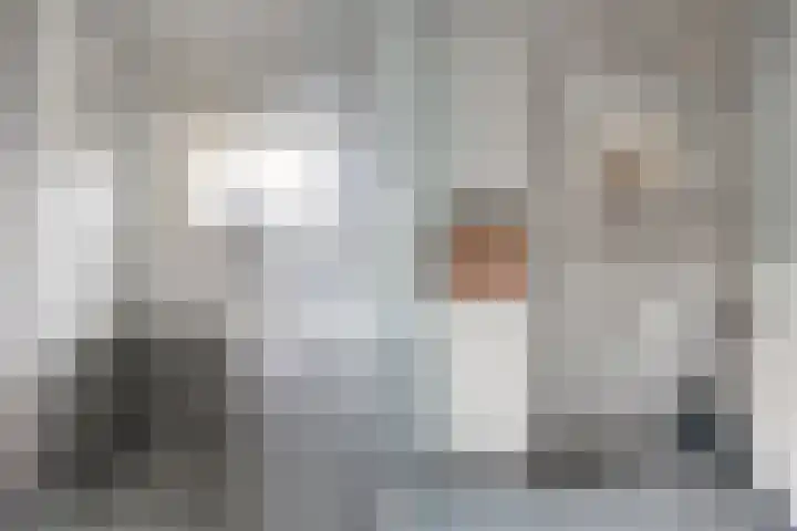 't Hertenspoor 136 Diever thumbnail 25
