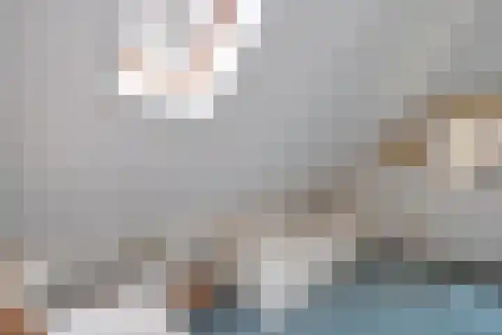 't Hertenspoor 136 Diever thumbnail 27
