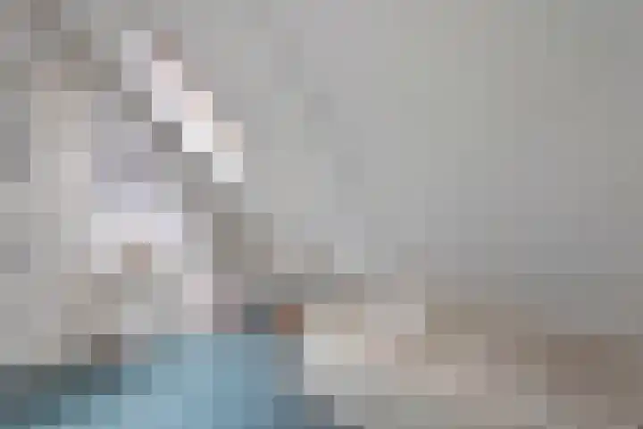 't Hertenspoor 136 Diever thumbnail 29