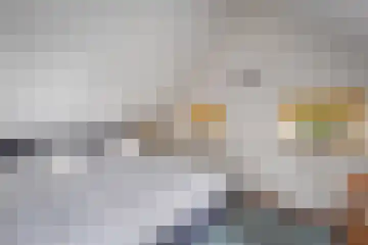 't Hertenspoor 136 Diever thumbnail 30