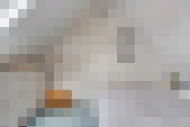 't Hertenspoor 136 Diever thumbnail 31