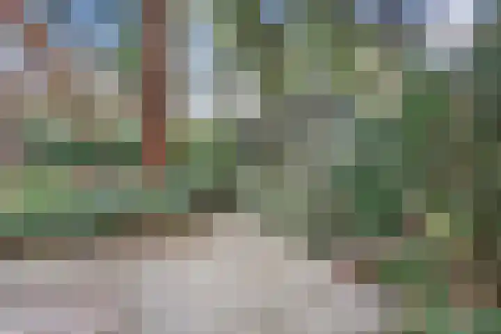 't Hertenspoor 136 Diever thumbnail 33