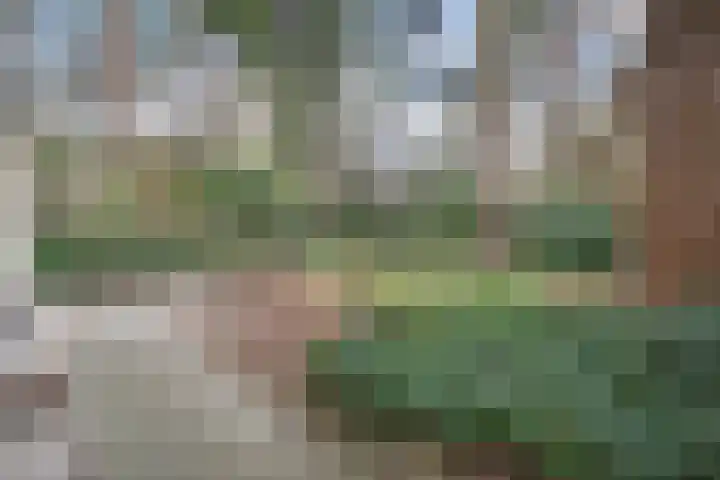 't Hertenspoor 136 Diever thumbnail 34