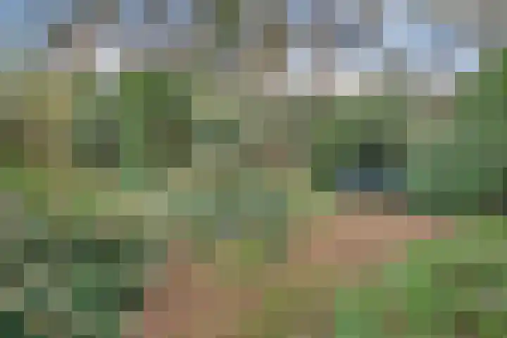 't Hertenspoor 136 Diever thumbnail 35