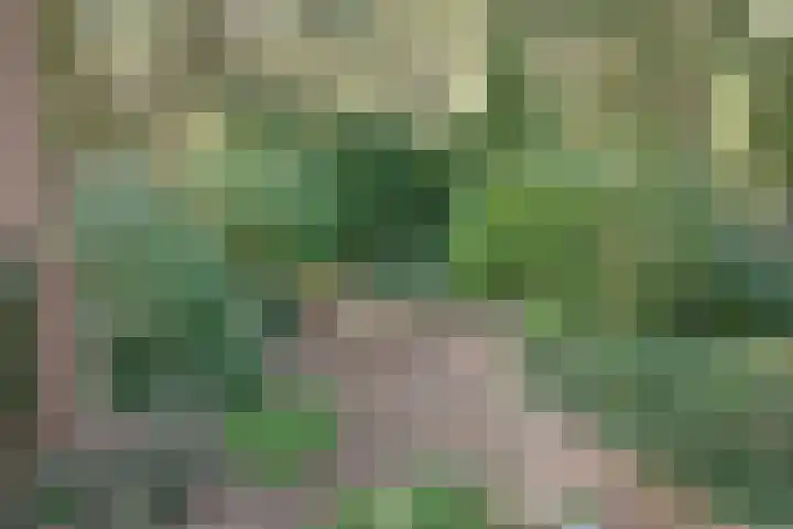 't Hertenspoor 136 Diever thumbnail 40