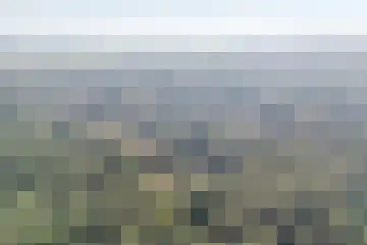 't Hertenspoor 136 Diever thumbnail 5