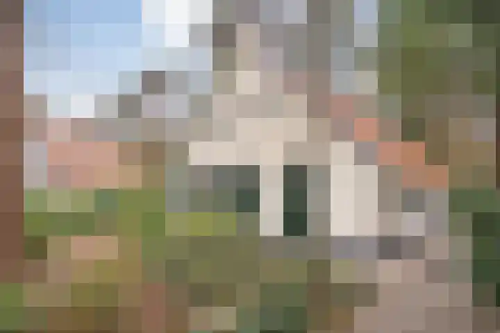 't Hertenspoor 136 Diever thumbnail 7