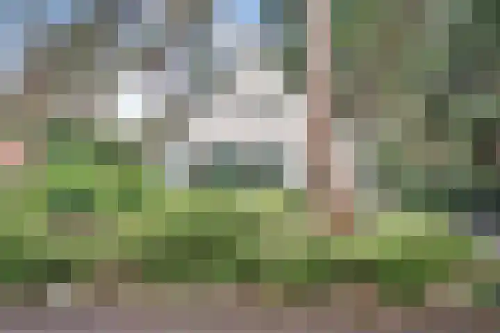 't Hertenspoor 136 Diever thumbnail 8
